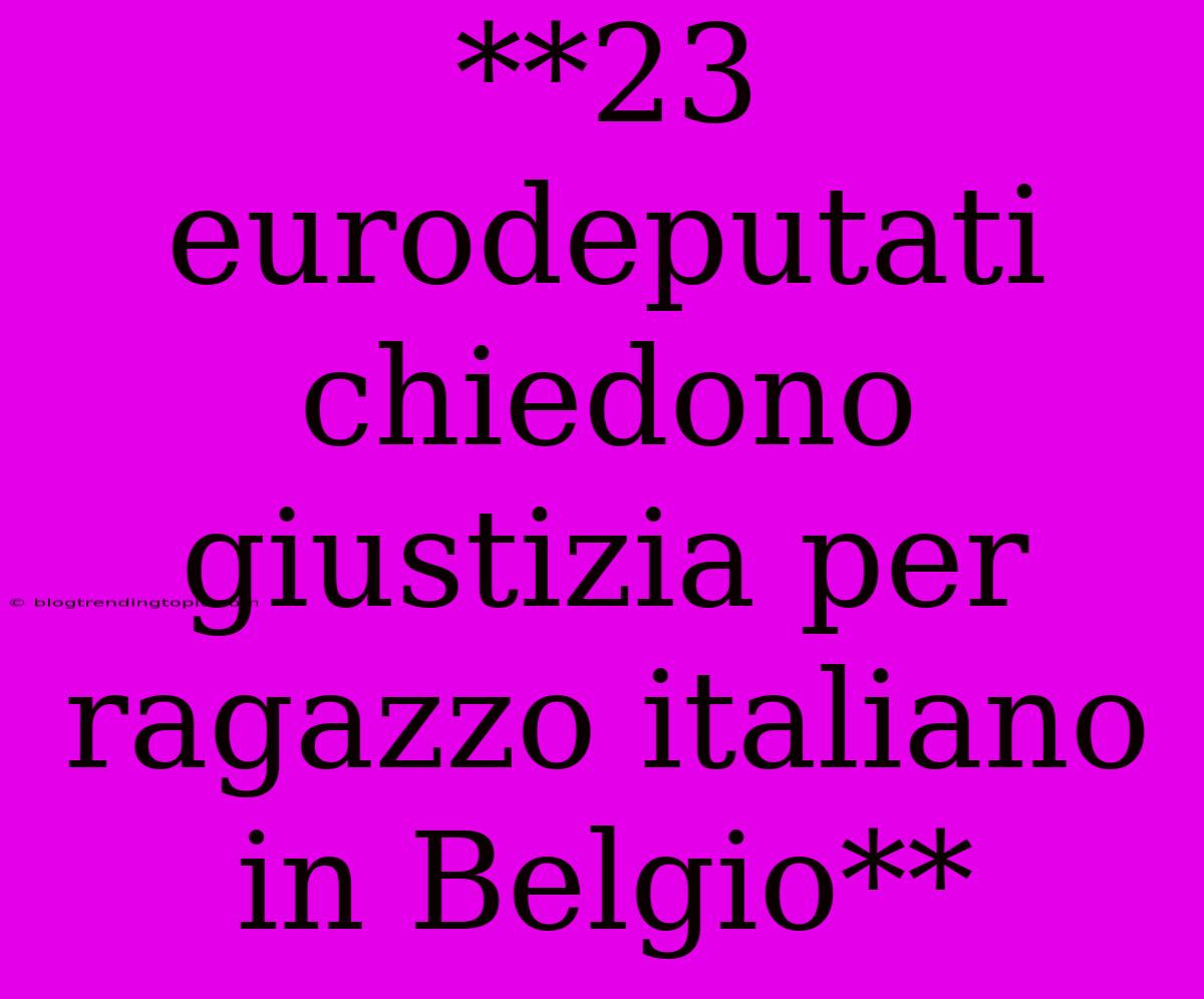 **23 Eurodeputati Chiedono Giustizia Per Ragazzo Italiano In Belgio**