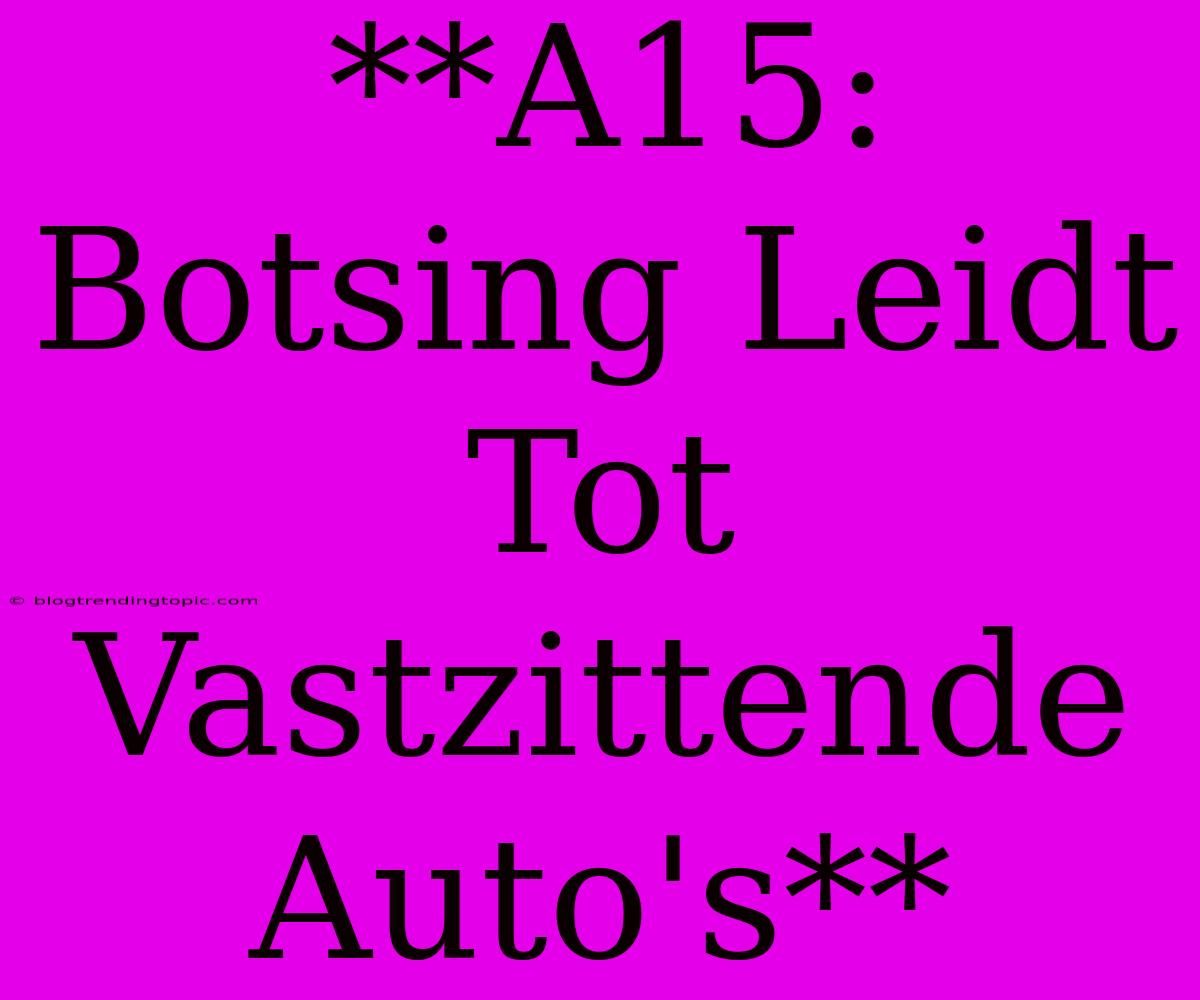 **A15: Botsing Leidt Tot Vastzittende Auto's**