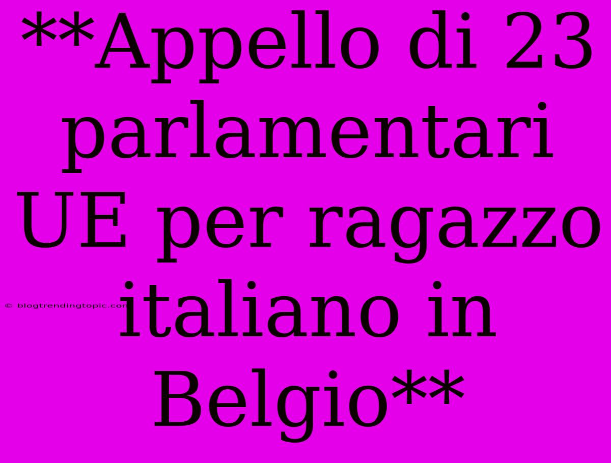 **Appello Di 23 Parlamentari UE Per Ragazzo Italiano In Belgio**