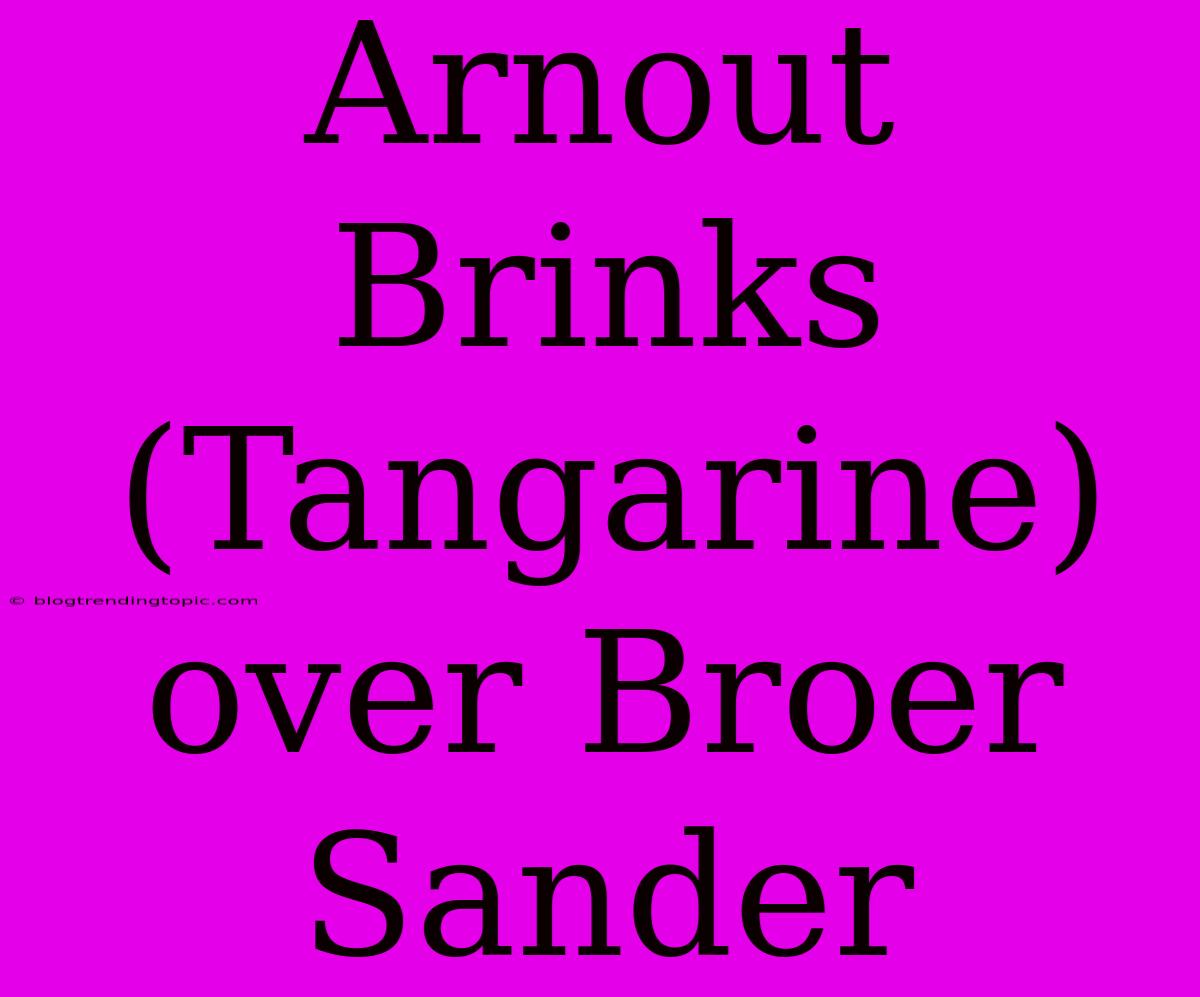 Arnout Brinks (Tangarine) Over Broer Sander