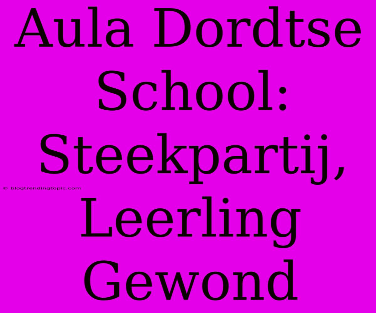 Aula Dordtse School: Steekpartij, Leerling Gewond