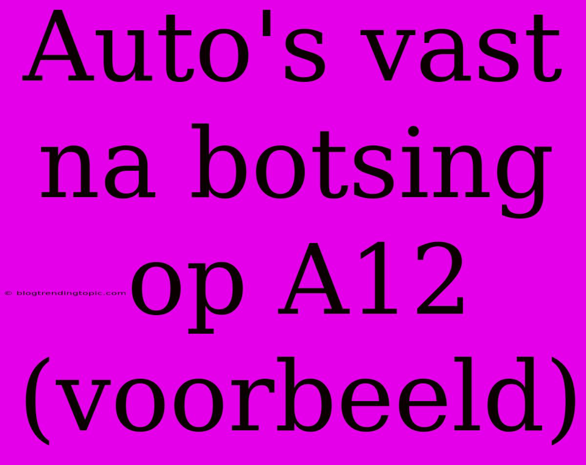 Auto's Vast Na Botsing Op A12 (voorbeeld)