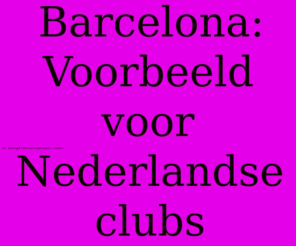 Barcelona:  Voorbeeld Voor Nederlandse Clubs