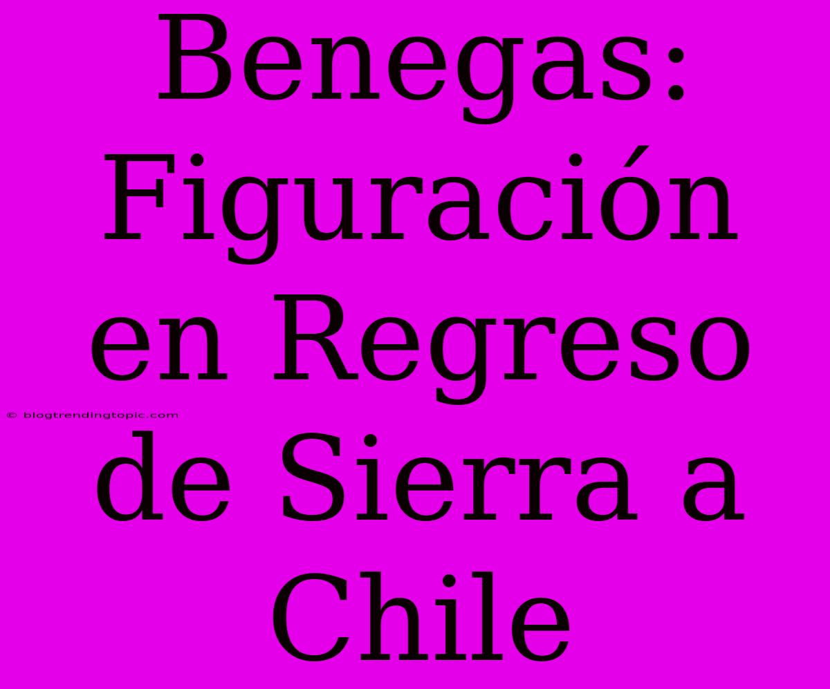 Benegas: Figuración En Regreso De Sierra A Chile