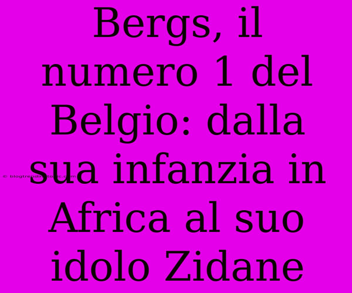 Bergs, Il Numero 1 Del Belgio: Dalla Sua Infanzia In Africa Al Suo Idolo Zidane