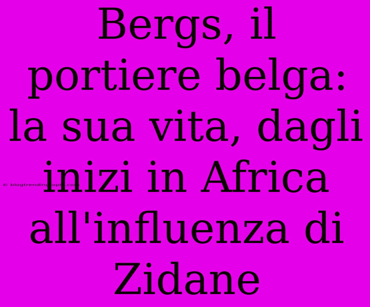 Bergs, Il Portiere Belga: La Sua Vita, Dagli Inizi In Africa All'influenza Di Zidane