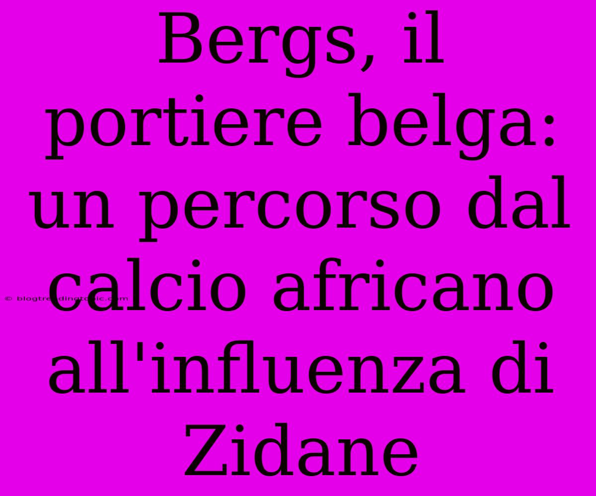 Bergs, Il Portiere Belga: Un Percorso Dal Calcio Africano All'influenza Di Zidane