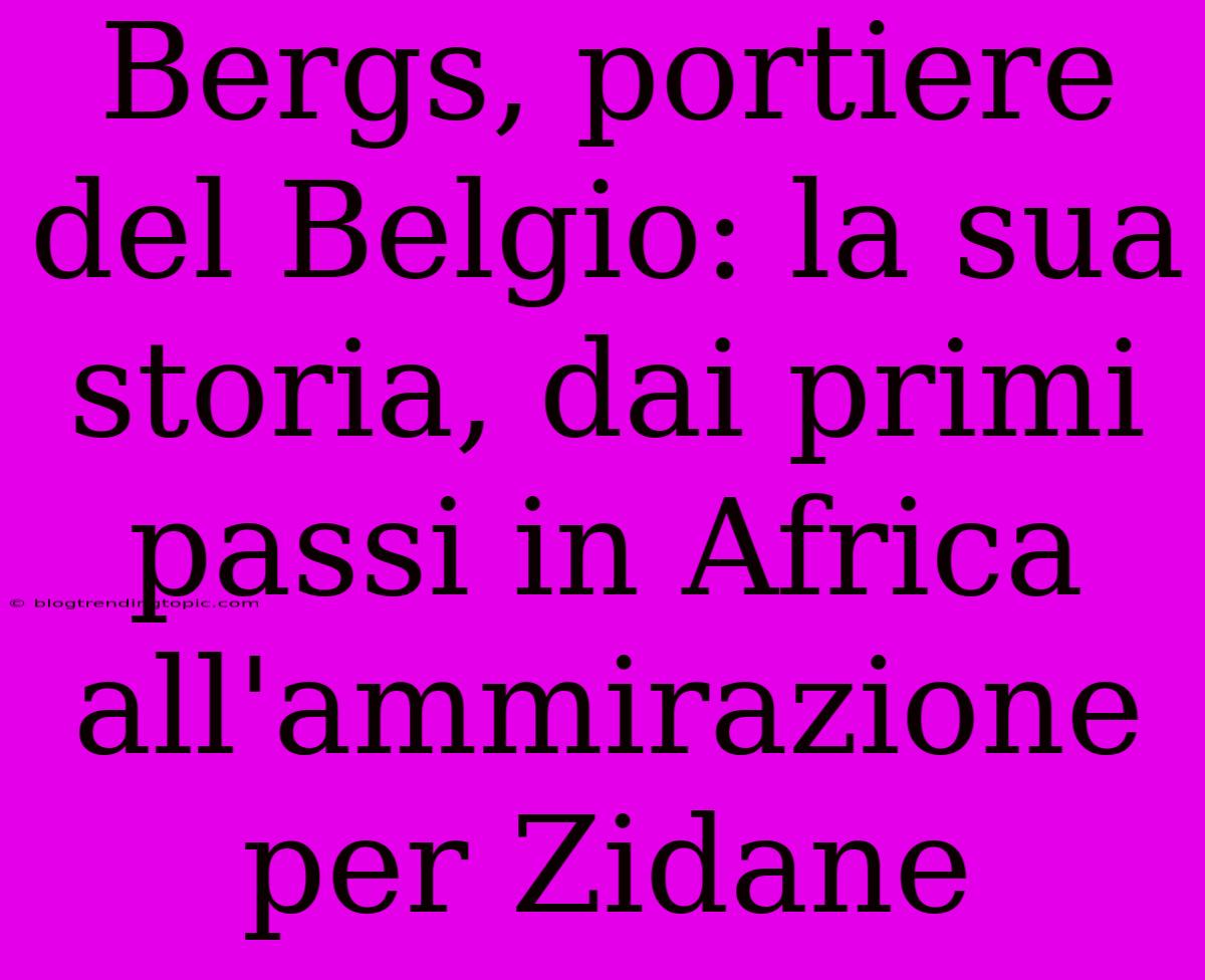 Bergs, Portiere Del Belgio: La Sua Storia, Dai Primi Passi In Africa All'ammirazione Per Zidane