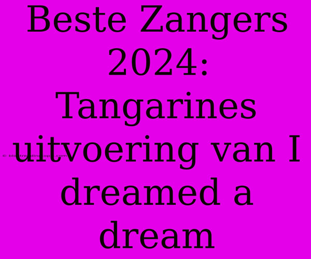 Beste Zangers 2024: Tangarines Uitvoering Van I Dreamed A Dream