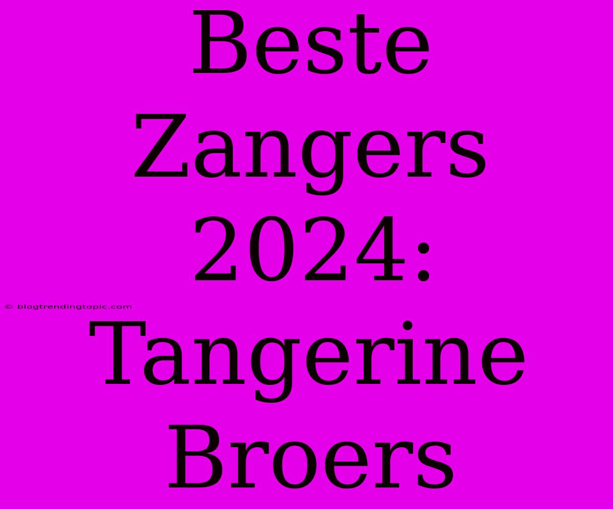 Beste Zangers 2024:  Tangerine Broers