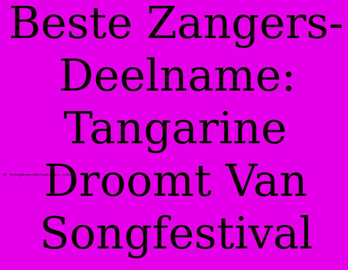 Beste Zangers-Deelname: Tangarine Droomt Van Songfestival