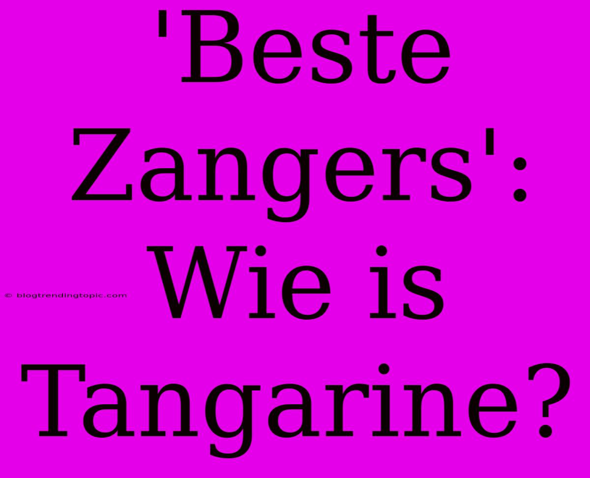 'Beste Zangers': Wie Is Tangarine?