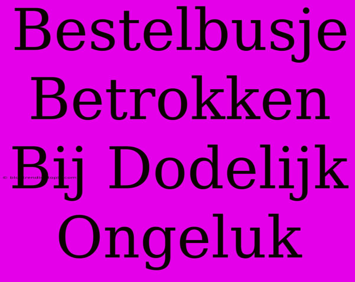 Bestelbusje Betrokken Bij Dodelijk Ongeluk