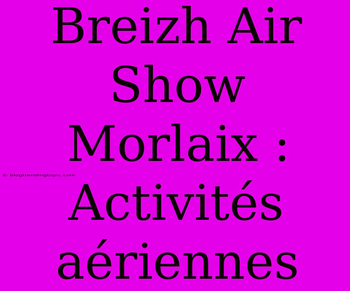 Breizh Air Show Morlaix : Activités Aériennes