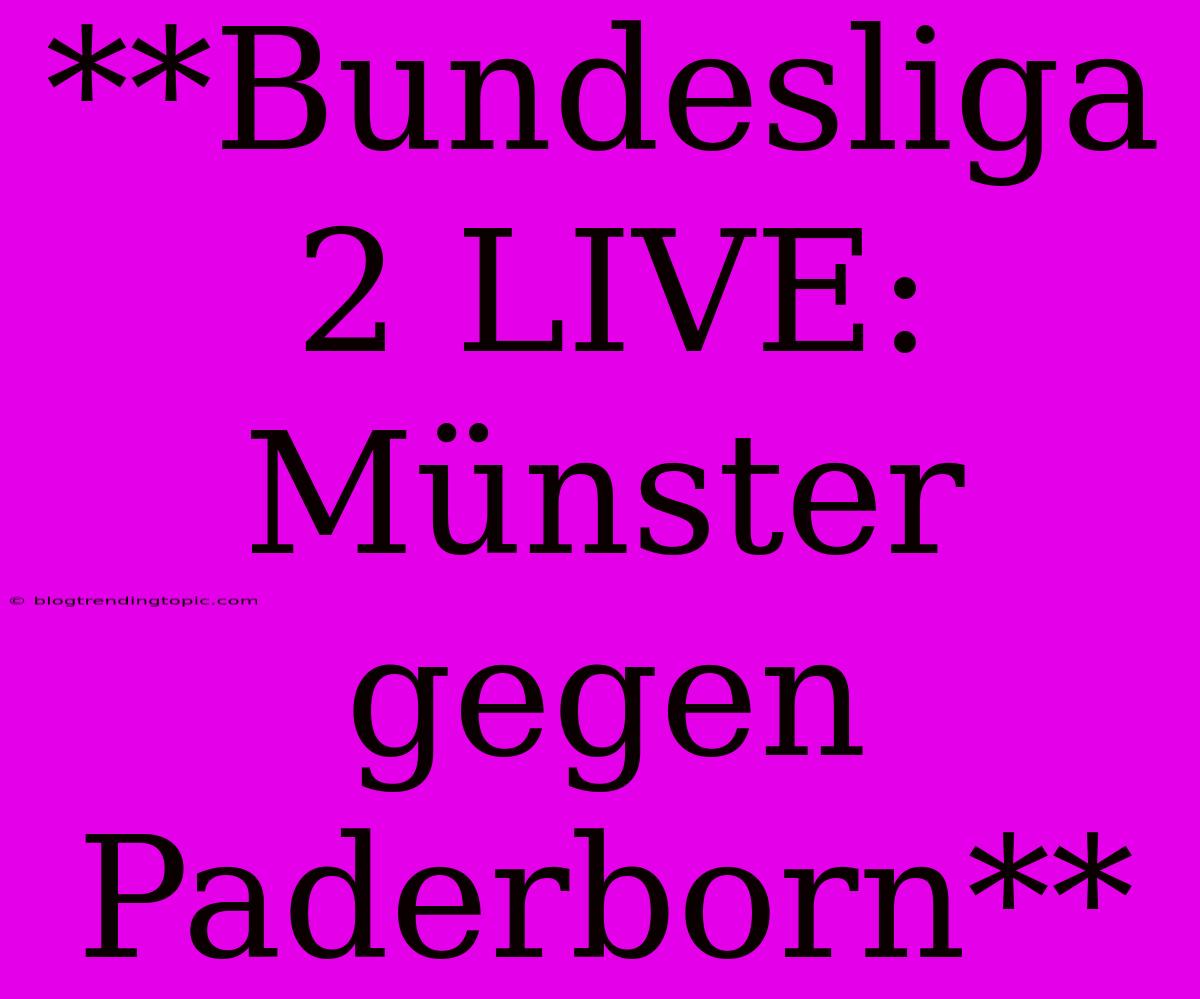 **Bundesliga 2 LIVE: Münster Gegen Paderborn**