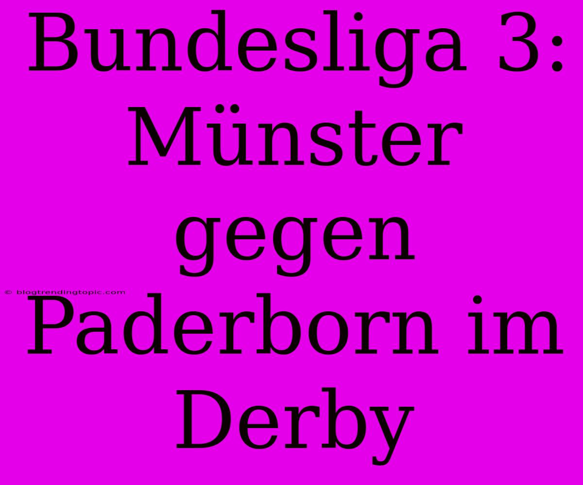 Bundesliga 3: Münster Gegen Paderborn Im Derby