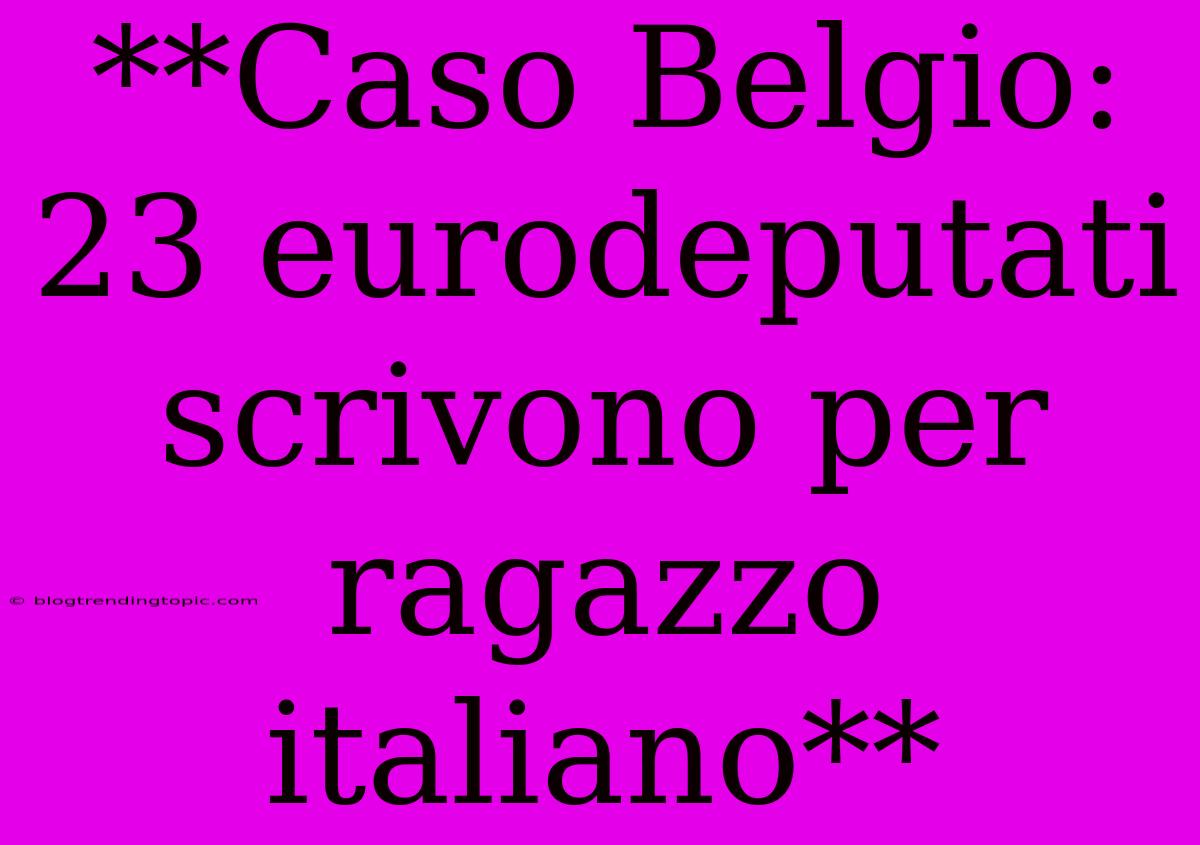 **Caso Belgio: 23 Eurodeputati Scrivono Per Ragazzo Italiano**