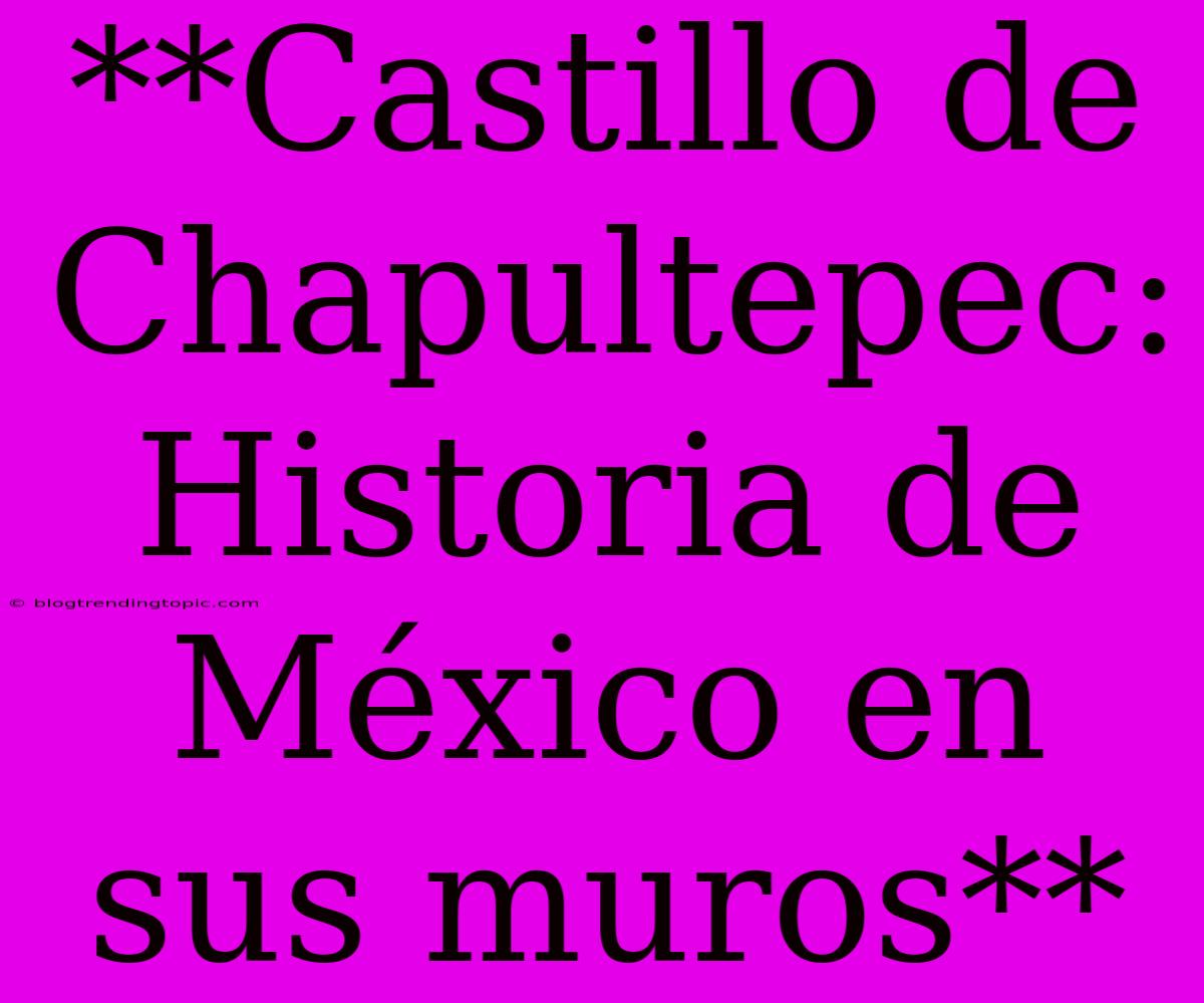 **Castillo De Chapultepec: Historia De México En Sus Muros**