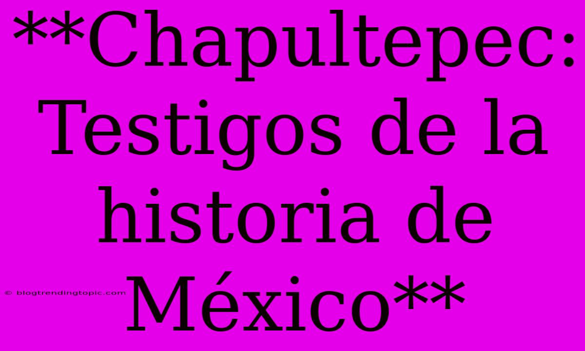 **Chapultepec: Testigos De La Historia De México**