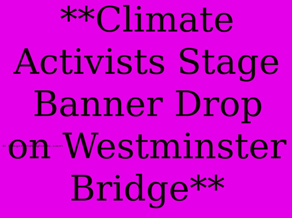 **Climate Activists Stage Banner Drop On Westminster Bridge**