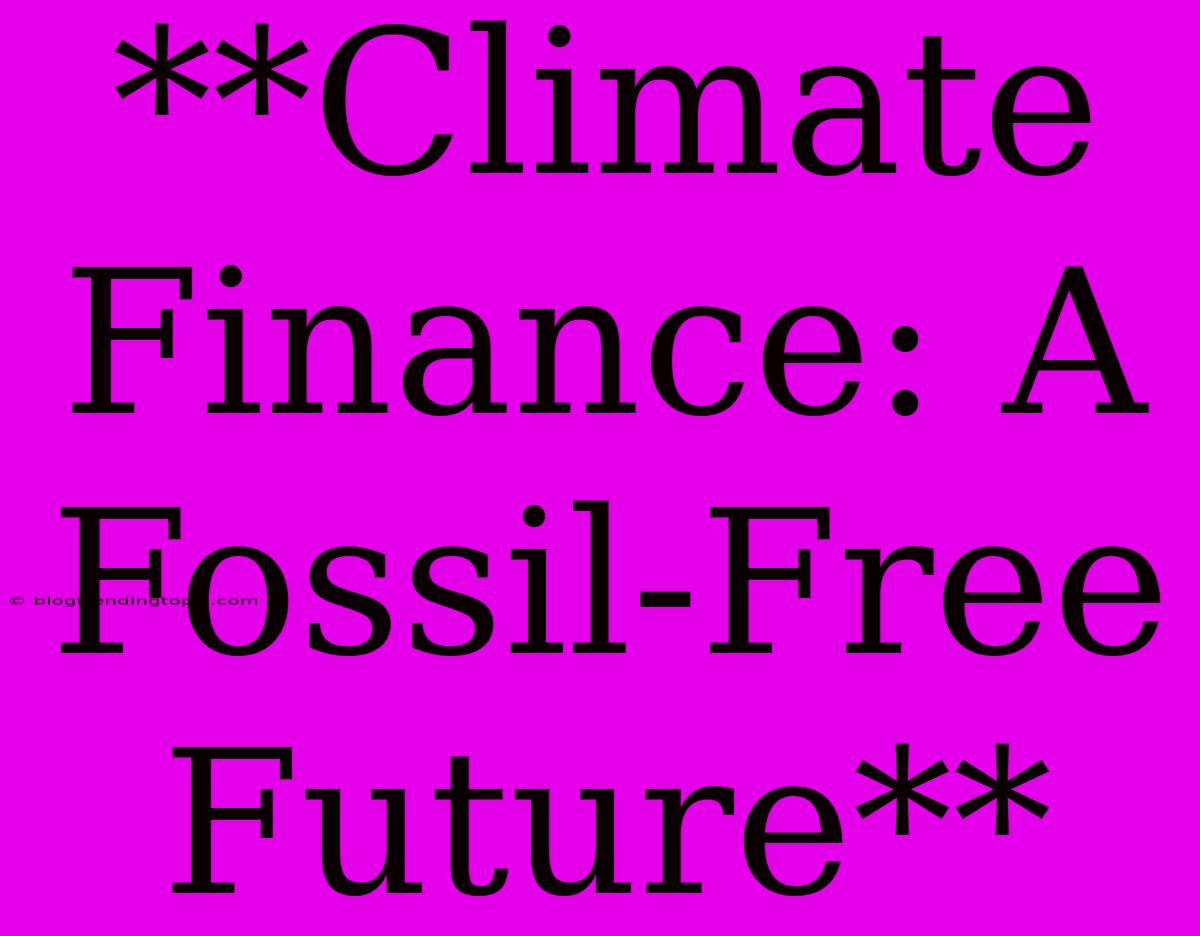 **Climate Finance: A Fossil-Free Future**