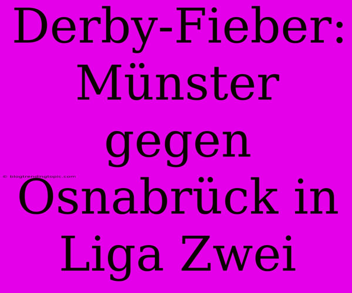 Derby-Fieber: Münster Gegen Osnabrück In Liga Zwei