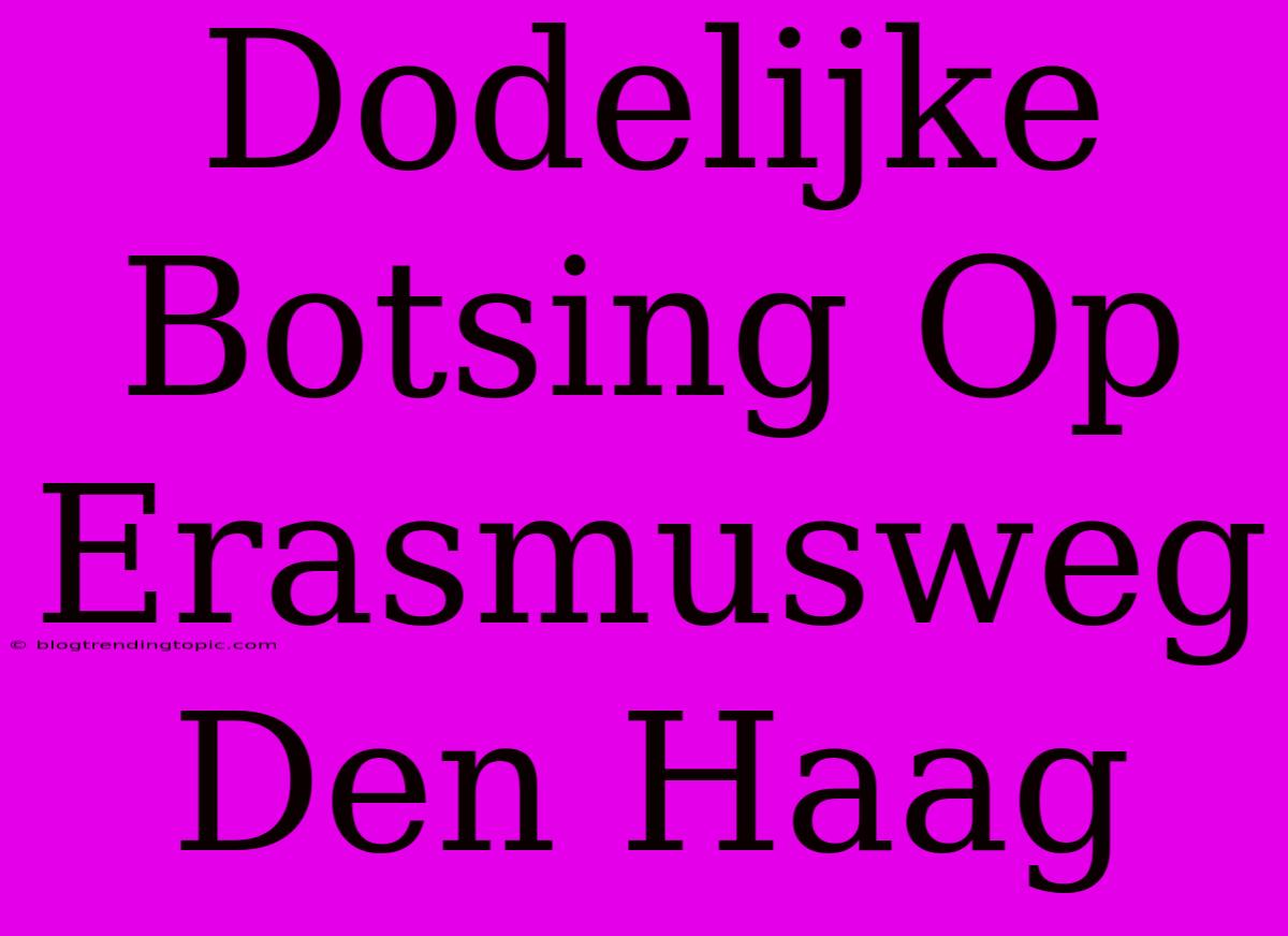 Dodelijke Botsing Op Erasmusweg Den Haag