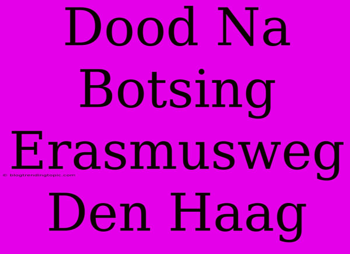 Dood Na Botsing Erasmusweg Den Haag