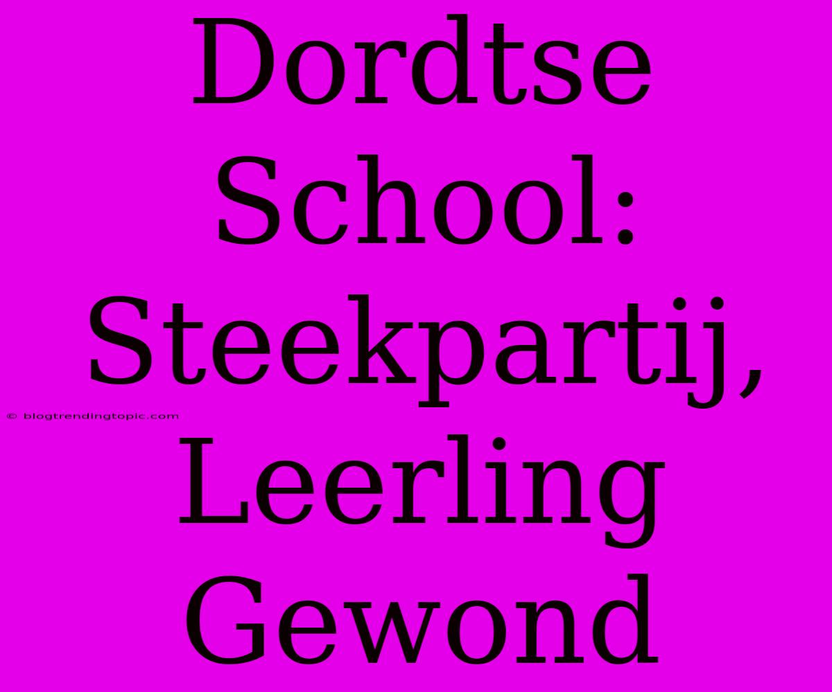 Dordtse School: Steekpartij, Leerling Gewond