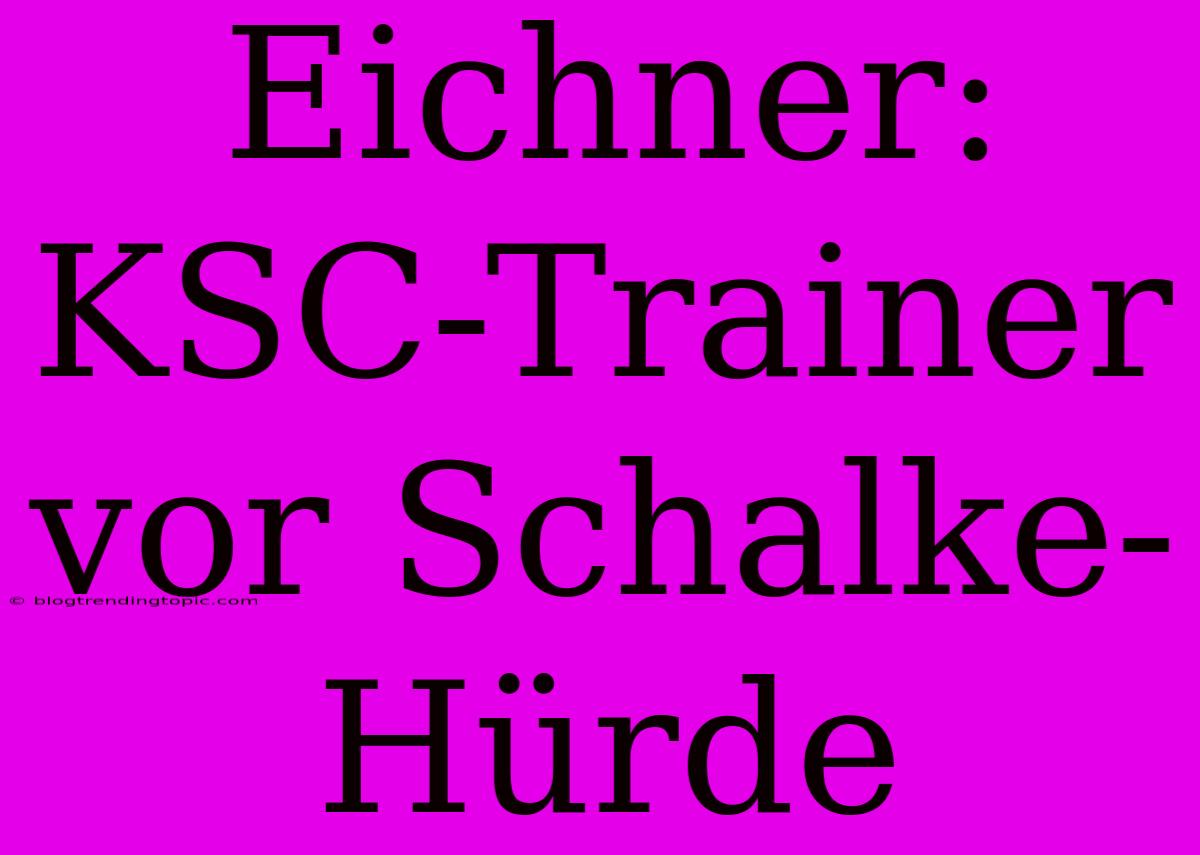 Eichner: KSC-Trainer Vor Schalke-Hürde