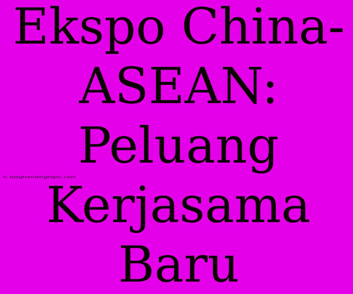 Ekspo China-ASEAN: Peluang Kerjasama Baru