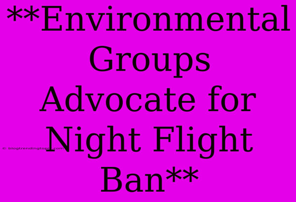 **Environmental Groups Advocate For Night Flight Ban**