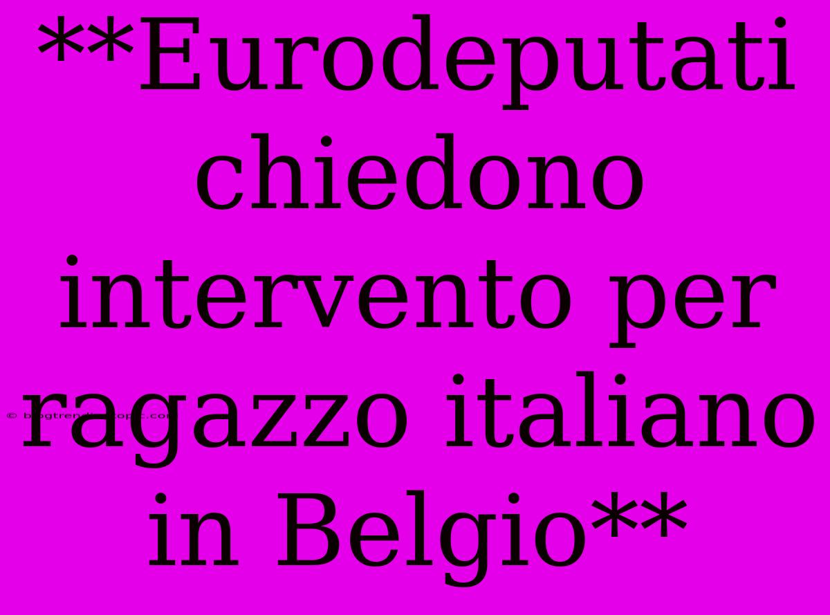 **Eurodeputati Chiedono Intervento Per Ragazzo Italiano In Belgio**