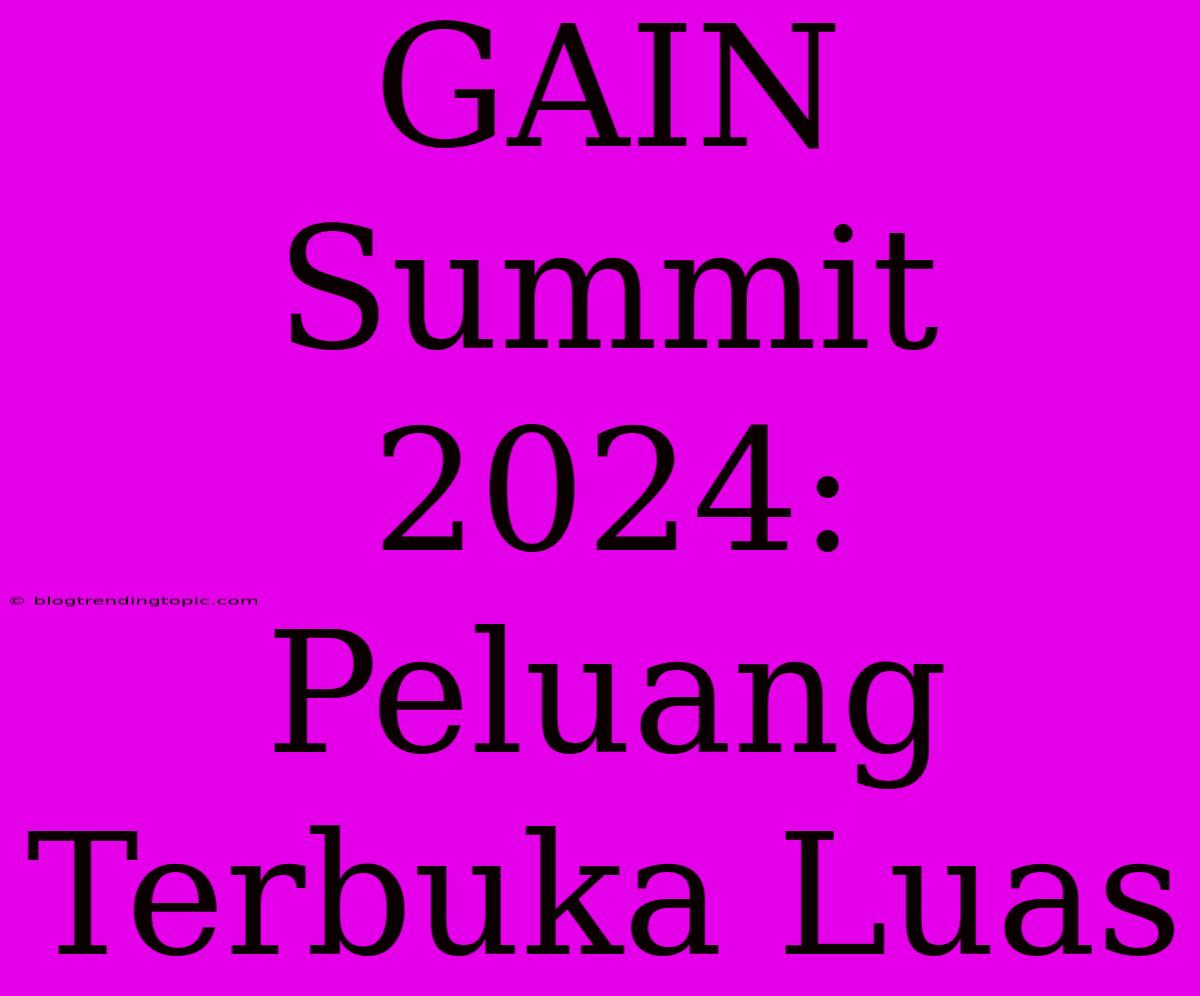 GAIN Summit 2024: Peluang Terbuka Luas