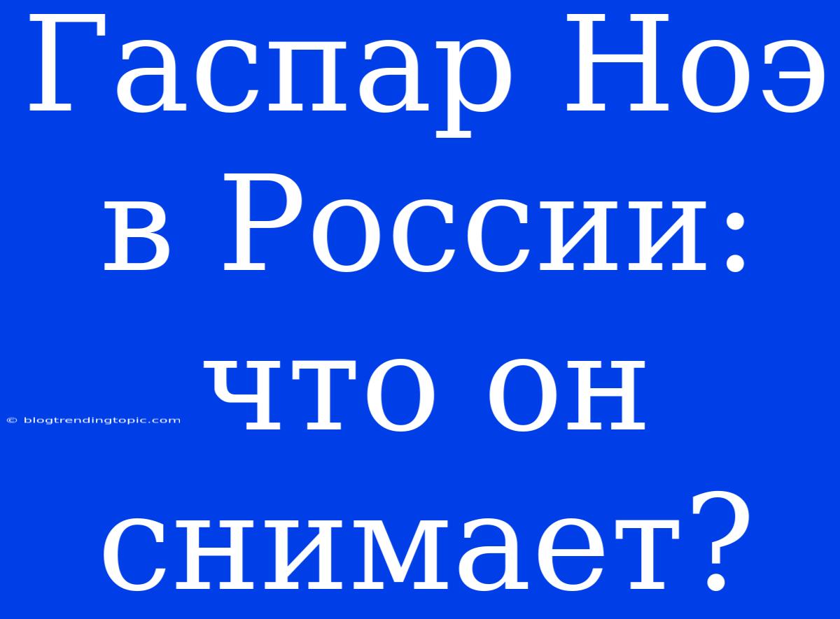 Гаспар Ноэ В России: Что Он Снимает?