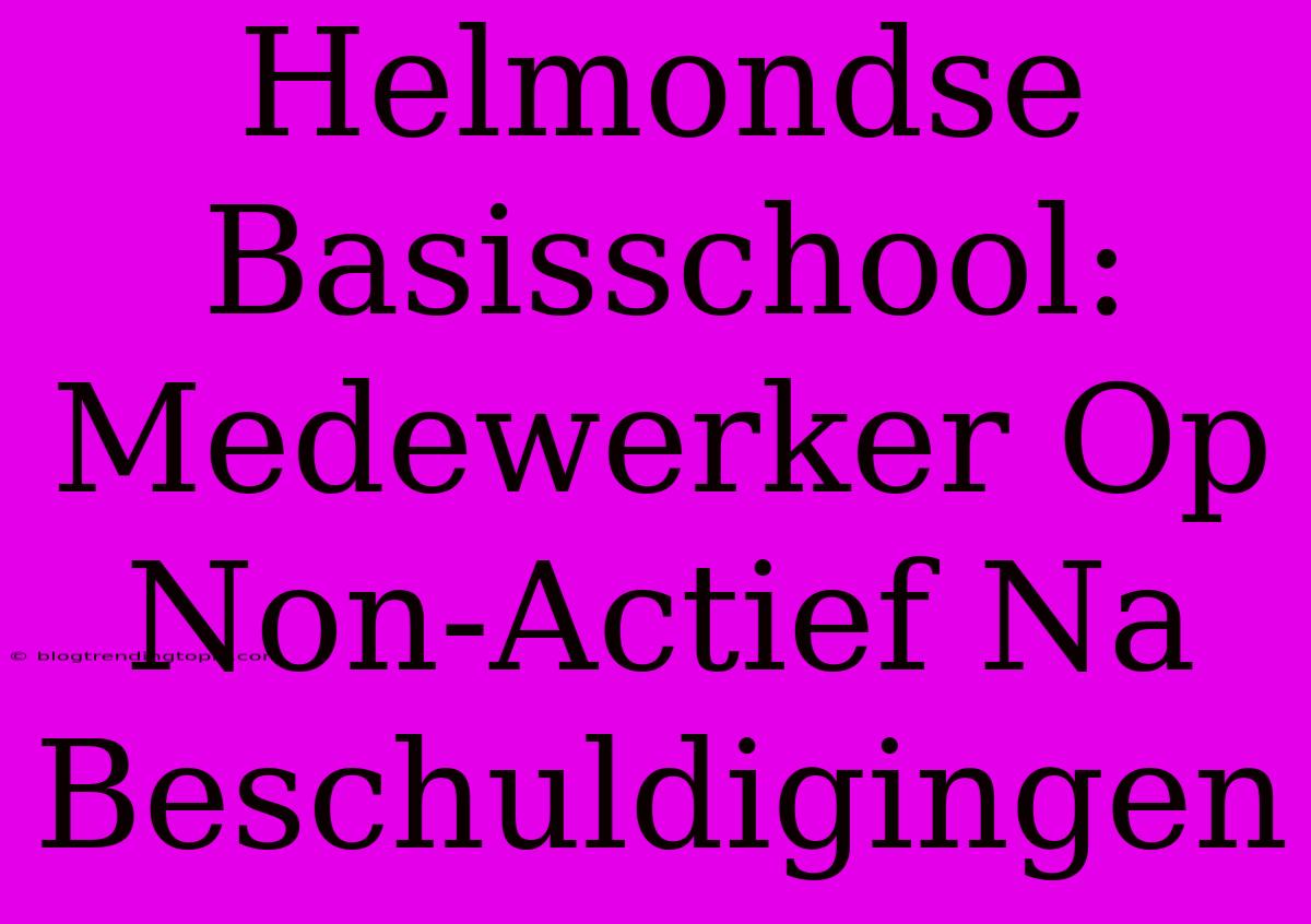 Helmondse Basisschool: Medewerker Op Non-Actief Na Beschuldigingen