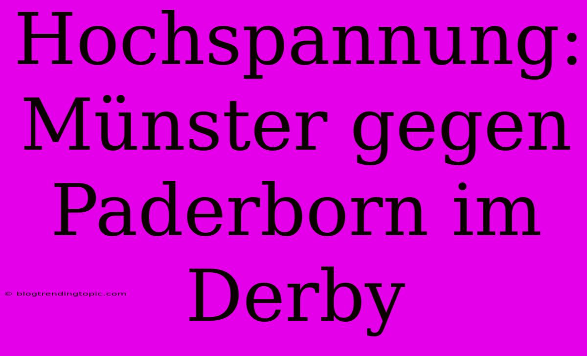 Hochspannung: Münster Gegen Paderborn Im Derby