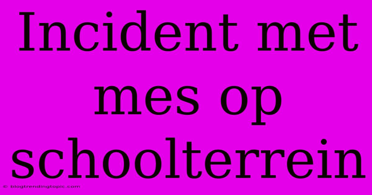 Incident Met Mes Op Schoolterrein