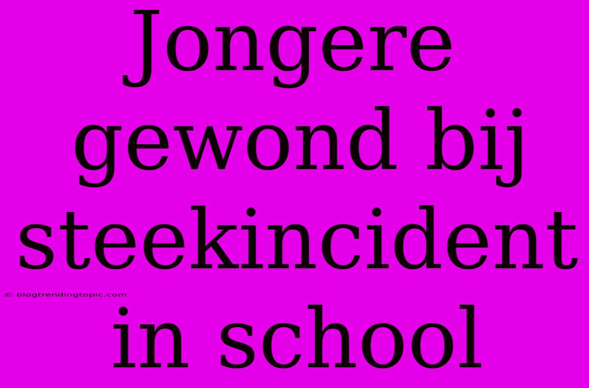 Jongere Gewond Bij Steekincident In School