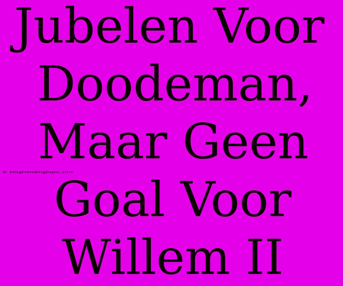 Jubelen Voor Doodeman, Maar Geen Goal Voor Willem II