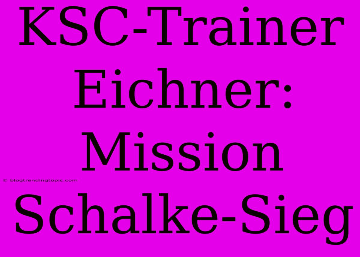 KSC-Trainer Eichner: Mission Schalke-Sieg