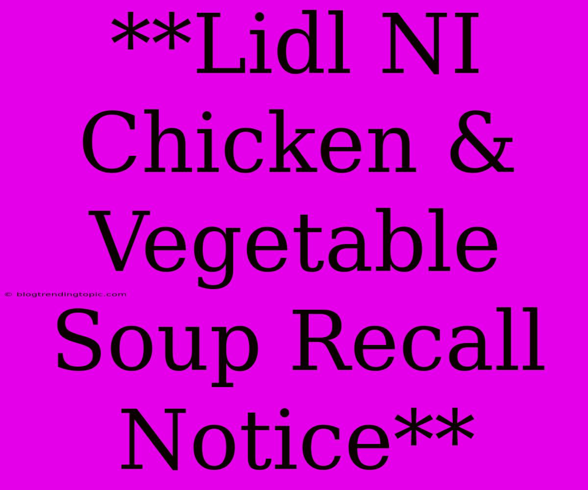 **Lidl NI Chicken & Vegetable Soup Recall Notice**