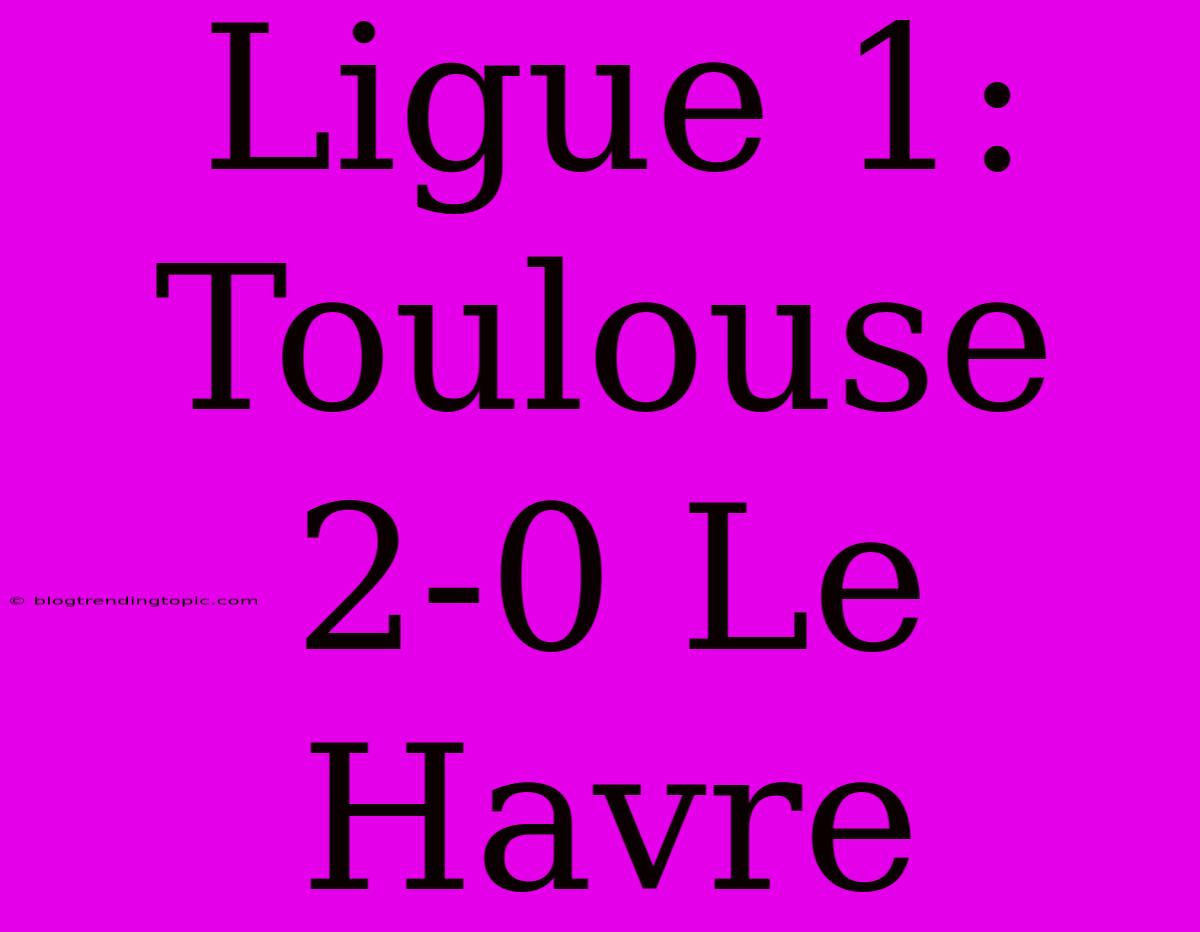 Ligue 1: Toulouse 2-0 Le Havre