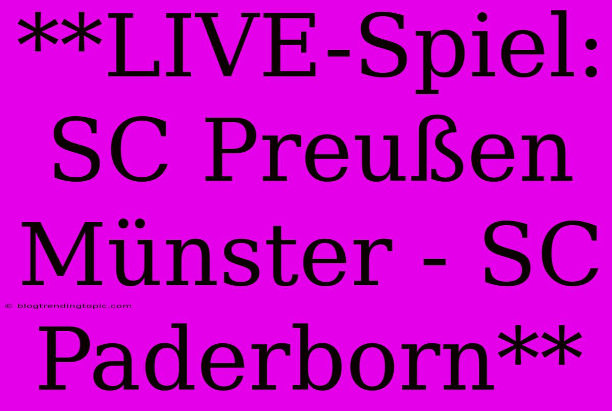 **LIVE-Spiel: SC Preußen Münster - SC Paderborn**