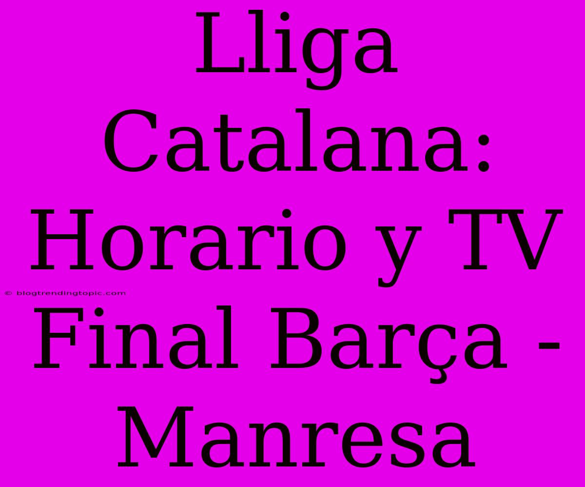 Lliga Catalana: Horario Y TV Final Barça - Manresa