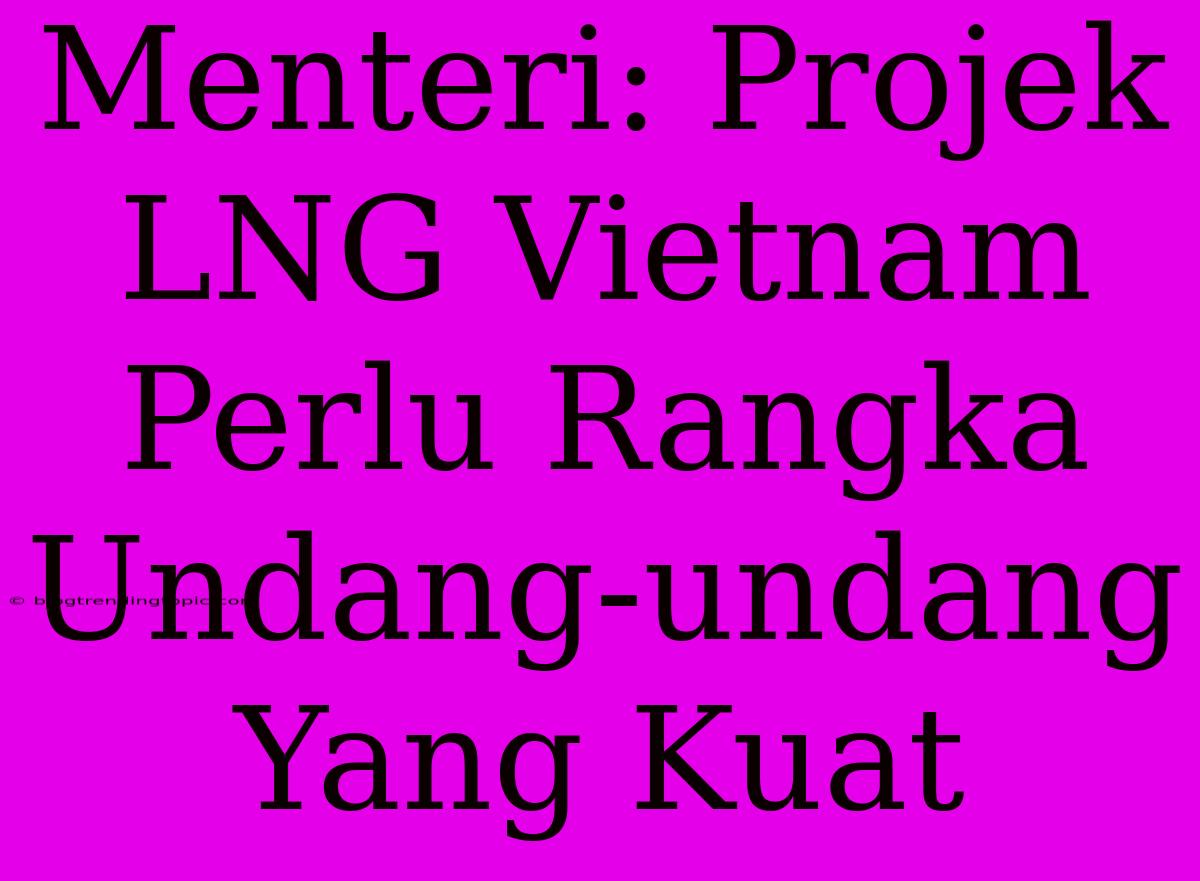 Menteri: Projek LNG Vietnam Perlu Rangka Undang-undang Yang Kuat