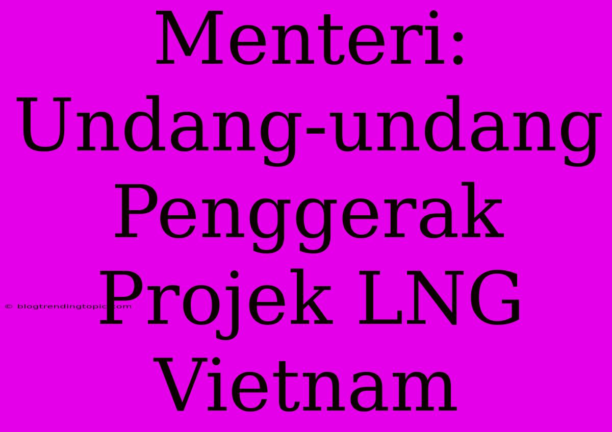 Menteri: Undang-undang Penggerak Projek LNG Vietnam