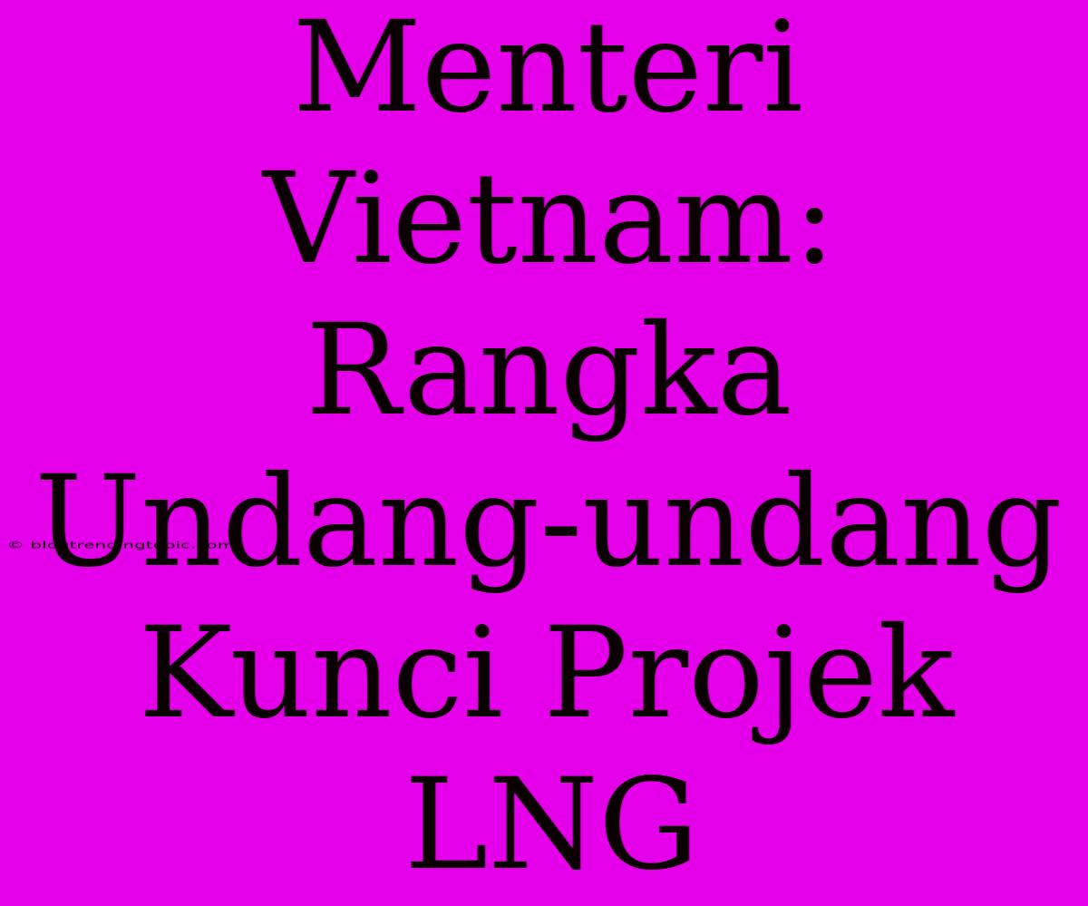 Menteri Vietnam: Rangka Undang-undang Kunci Projek LNG