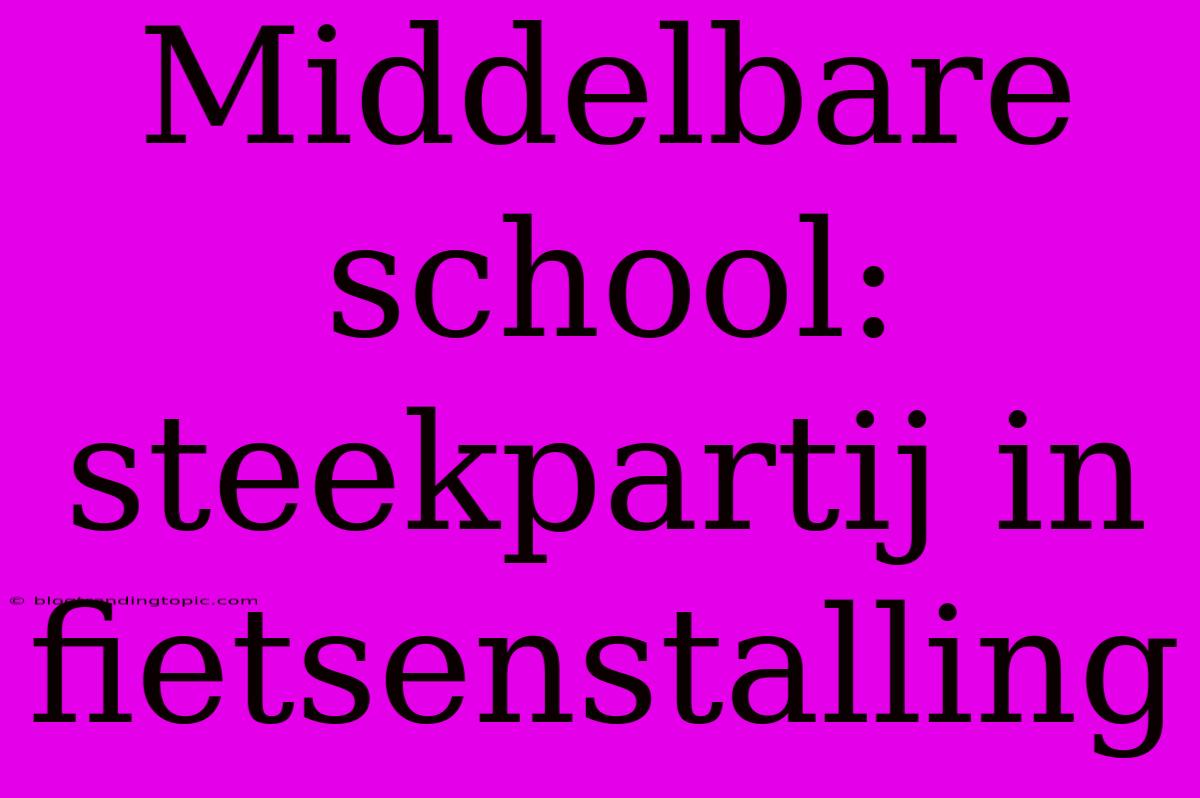 Middelbare School: Steekpartij In Fietsenstalling 