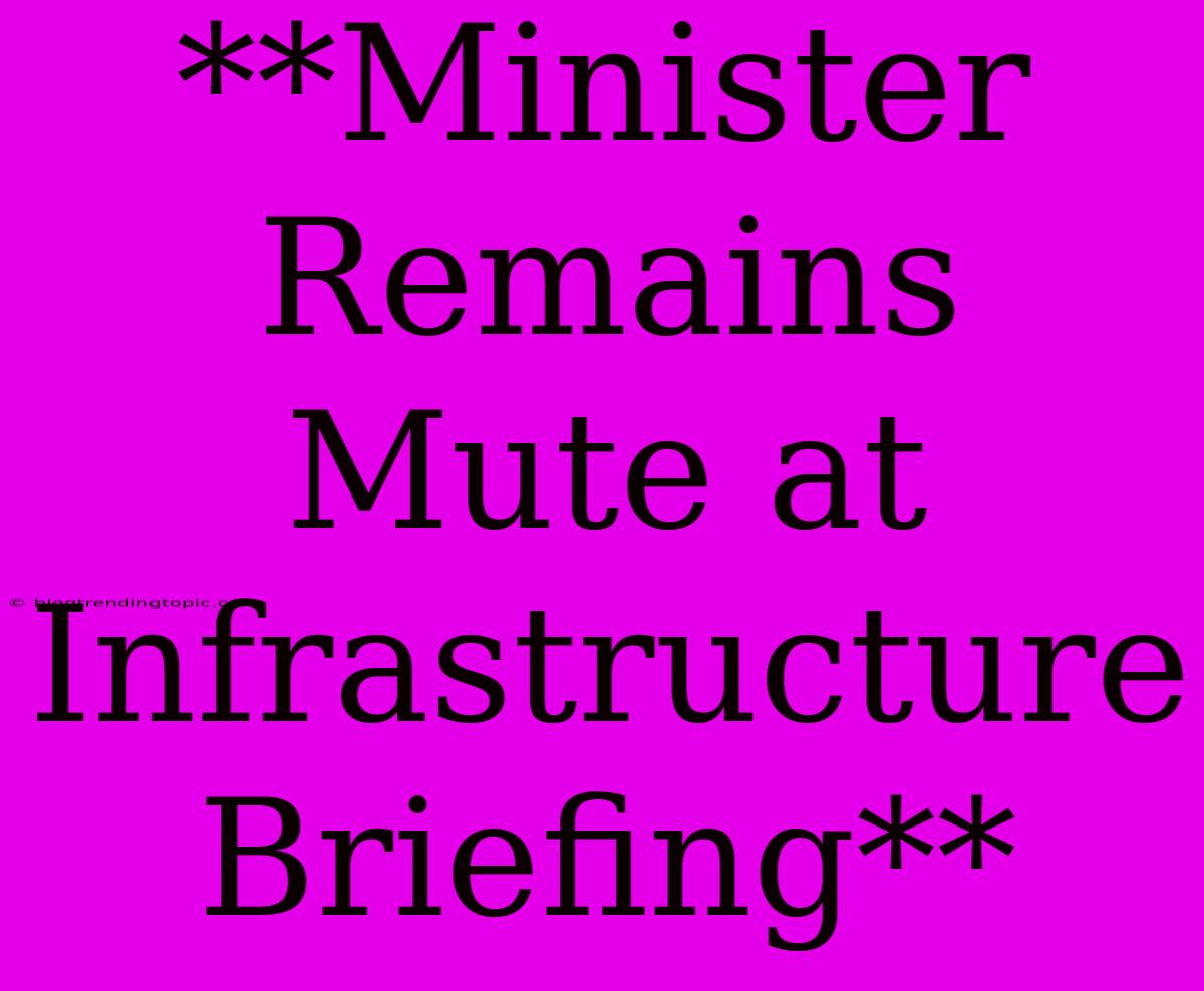 **Minister Remains Mute At Infrastructure Briefing**